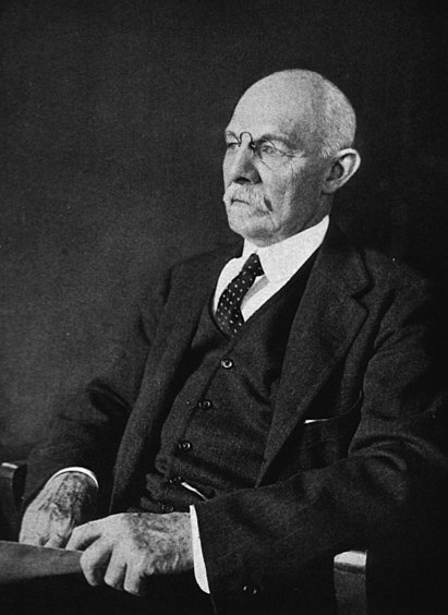 411px-William_Stewart_Halsted.jpg